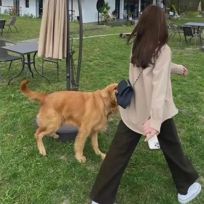 跳,亲爱的